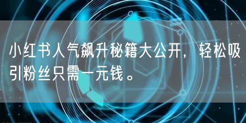 小红书人气飙升秘籍大公开，轻松吸引粉丝只需一元钱。