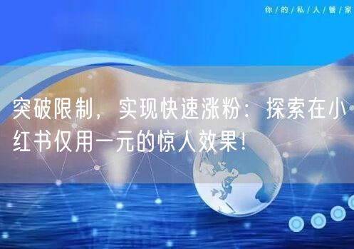 突破限制，实现快速涨粉：探索在小红书仅用一元的惊人效果！