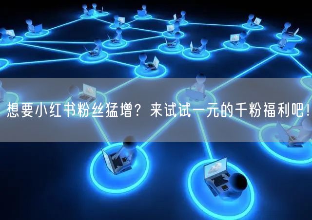 想要小红书粉丝猛增？来试试一元的千粉福利吧！