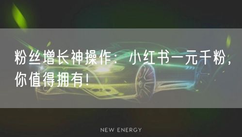 粉丝增长神操作：小红书一元千粉，你值得拥有！