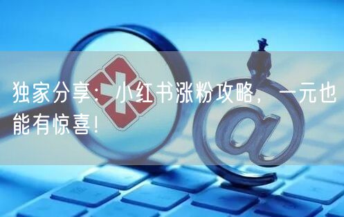 独家分享：小红书涨粉攻略，一元也能有惊喜！