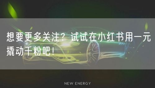想要更多关注？试试在小红书用一元撬动千粉吧！