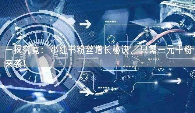 一探究竟：小红书粉丝增长秘诀，只需一元千粉来袭！