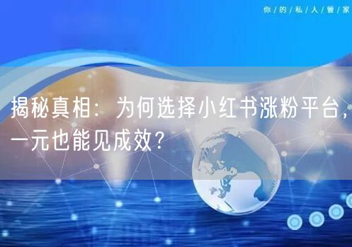 揭秘真相：为何选择小红书涨粉平台，一元也能见成效？