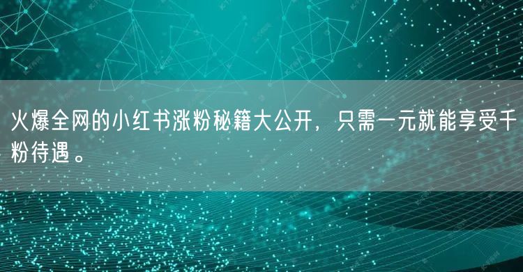 火爆全网的小红书涨粉秘籍大公开，只需一元就能享受千粉待遇。