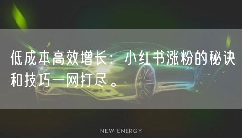 低成本高效增长：小红书涨粉的秘诀和技巧一网打尽。