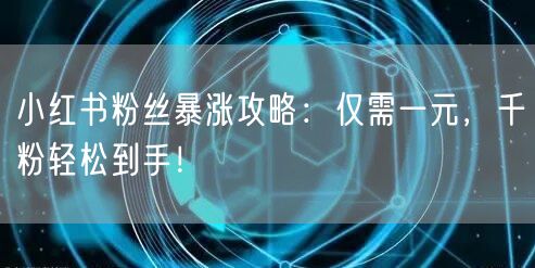 小红书粉丝暴涨攻略：仅需一元，千粉轻松到手！