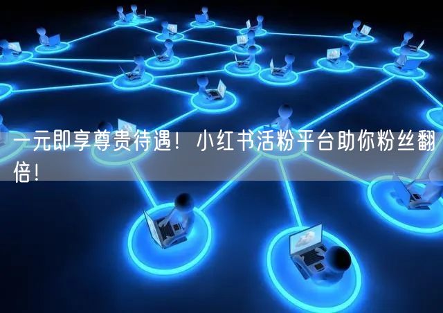 一元即享尊贵待遇！小红书活粉平台助你粉丝翻倍！