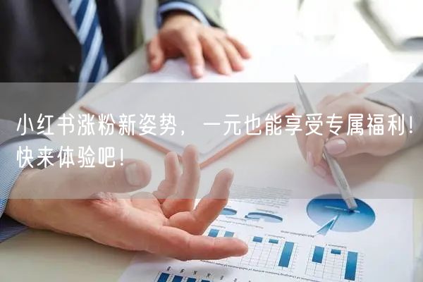 小红书涨粉新姿势，一元也能享受专属福利！快来体验吧！
