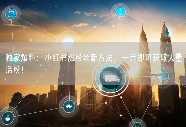 独家爆料：小红书涨粉丝新方法，一元即可获取大量活粉！