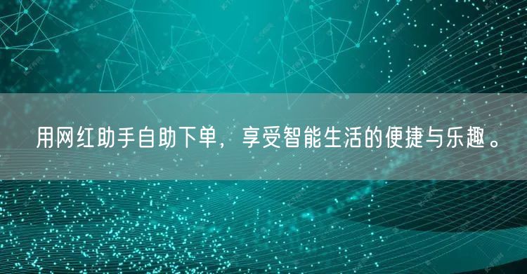 用网红助手自助下单，享受智能生活的便捷与乐趣。