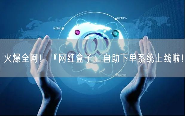 火爆全网！『网红盒子』自助下单系统上线啦！