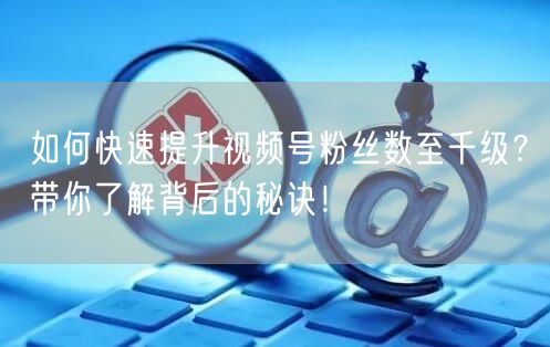 如何快速提升视频号粉丝数至千级？带你了解背后的秘诀！