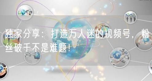 独家分享：打造万人迷的视频号，粉丝破千不是难题！