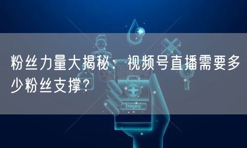粉丝力量大揭秘：视频号直播需要多少粉丝支撑？