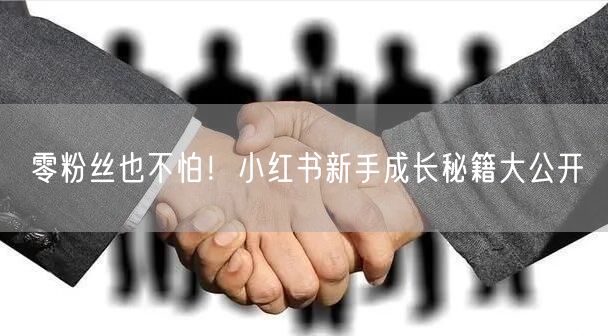 零粉丝也不怕！小红书新手成长秘籍大公开