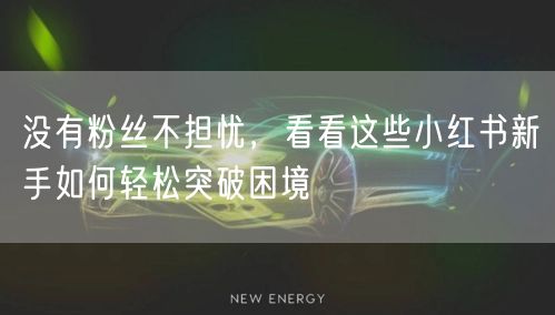 没有粉丝不担忧，看看这些小红书新手如何轻松突破困境