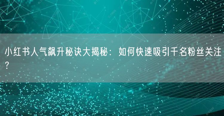 小红书人气飙升秘诀大揭秘:如何快速吸引千名粉丝关注?