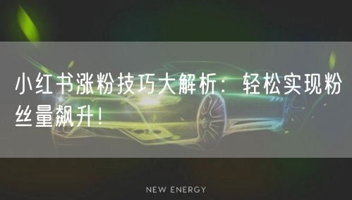 小红书涨粉技巧大解析:轻松实现粉丝量飙升!