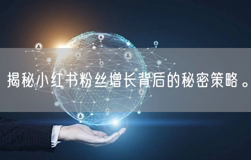揭秘小红书粉丝增长背后的秘密策略。