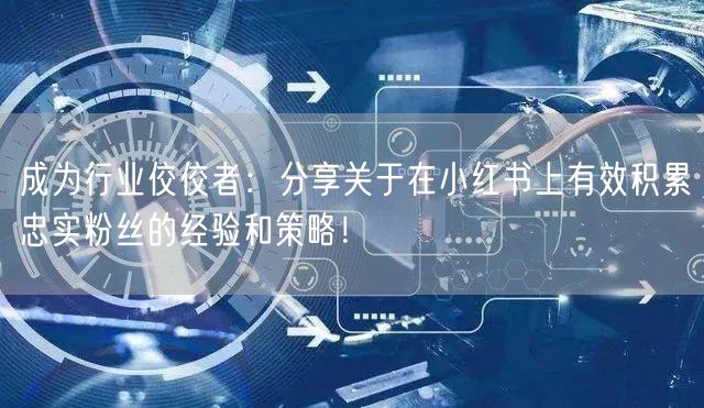 成为行业佼佼者：分享关于在小红书上有效积累忠实粉丝的经验和策略！