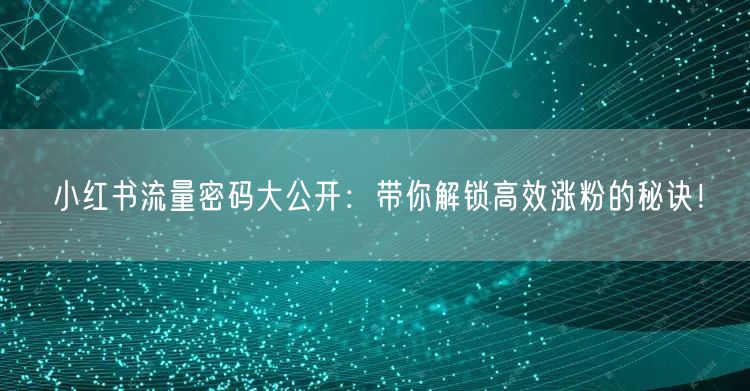 小红书流量密码大公开：带你解锁高效涨粉的秘诀！
