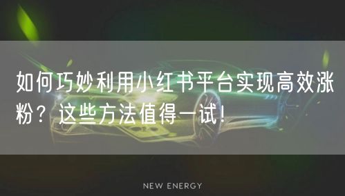 如何巧妙利用小红书平台实现高效涨粉？这些方法值得一试！