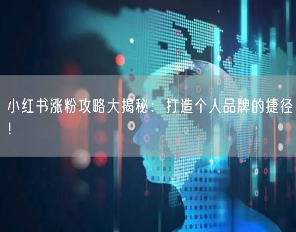 小红书涨粉攻略大揭秘：打造个人品牌的捷径！