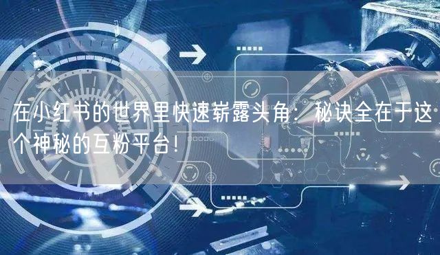 在小红书的世界里快速崭露头角：秘诀全在于这个神秘的互粉平台！