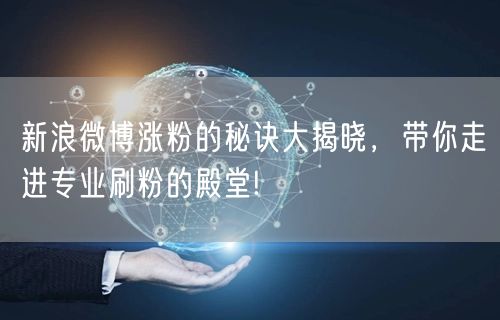 新浪微博涨粉的秘诀大揭晓，带你走进专业刷粉的殿堂!