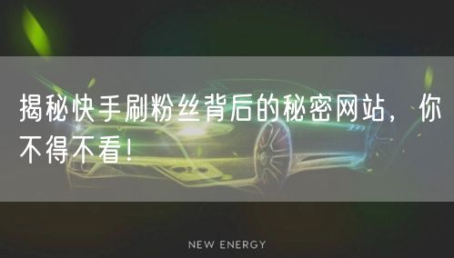 揭秘快手刷粉丝背后的秘密网站，你不得不看！