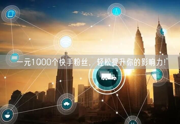 一元1000个快手粉丝，轻松提升你的影响力！