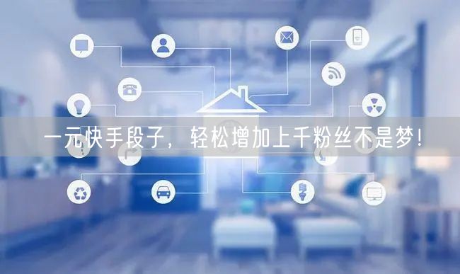 一元快手段子，轻松增加上千粉丝不是梦！