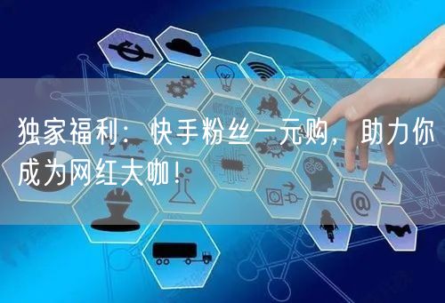 独家福利：快手粉丝一元购，助力你成为网红大咖！