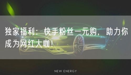 独家福利：快手粉丝一元购，助力你成为网红大咖！