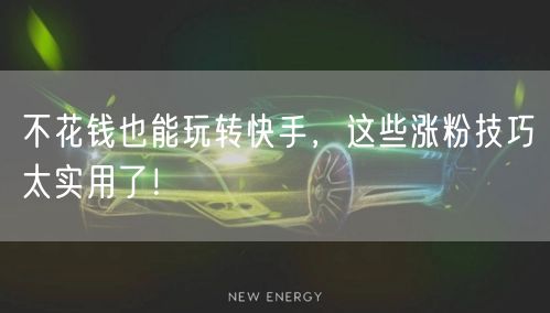 不花钱也能玩转快手，这些涨粉技巧太实用了！