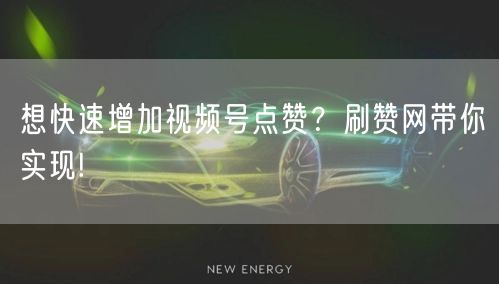 想快速增加视频号点赞？刷赞网带你实现!