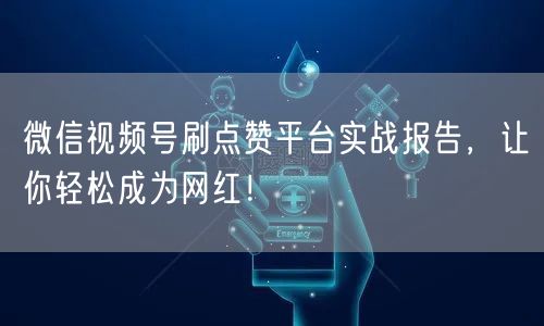 微信视频号刷点赞平台实战报告，让你轻松成为网红！