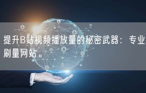 提升B站视频播放量的秘密武器：专业刷量网站。