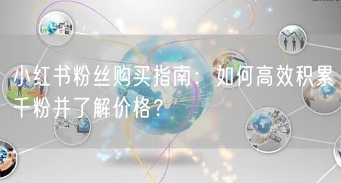 小红书粉丝购买指南：如何高效积累千粉并了解价格？