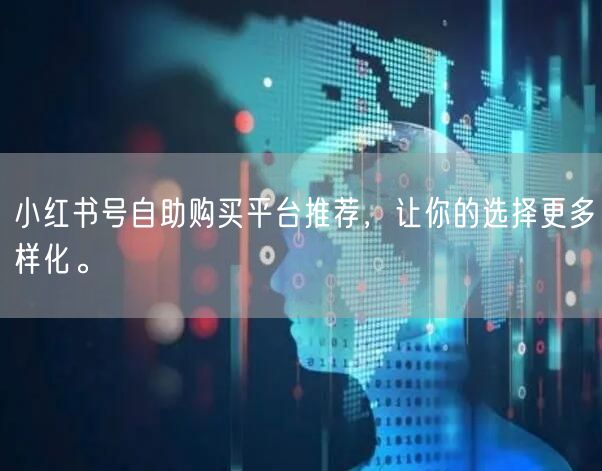 小红书号自助购买平台推荐，让你的选择更多样化。