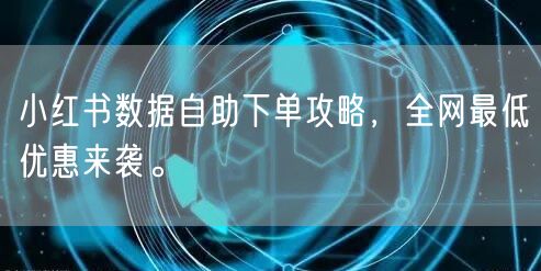 小红书数据自助下单攻略，全网最低优惠来袭。