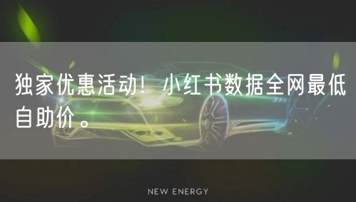 独家优惠活动！小红书数据全网最低自助价。