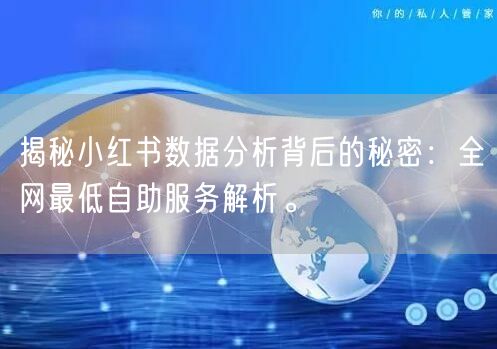 揭秘小红书数据分析背后的秘密：全网最低自助服务解析。