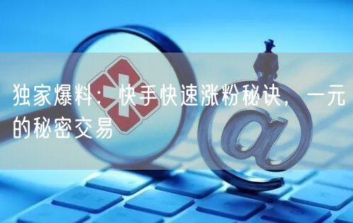 独家爆料:快手快速涨粉秘诀,一元的秘密交易