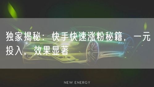 独家揭秘：快手快速涨粉秘籍，一元投入，效果显著