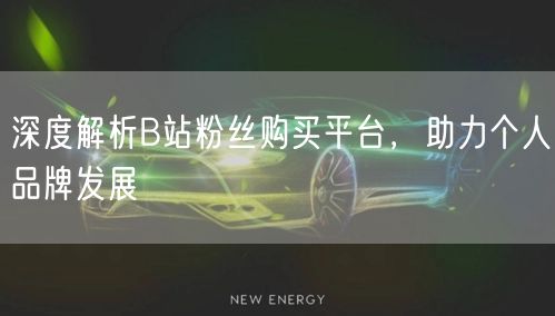 深度解析B站粉丝购买平台，助力个人品牌发展