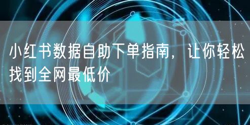 小红书数据自助下单指南，让你轻松找到全网最低价