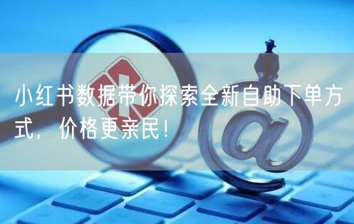 小红书数据带你探索全新自助下单方式，价格更亲民！