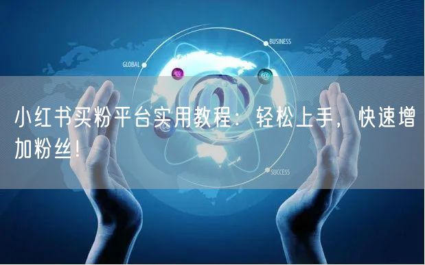 小红书买粉平台实用教程：轻松上手，快速增加粉丝！